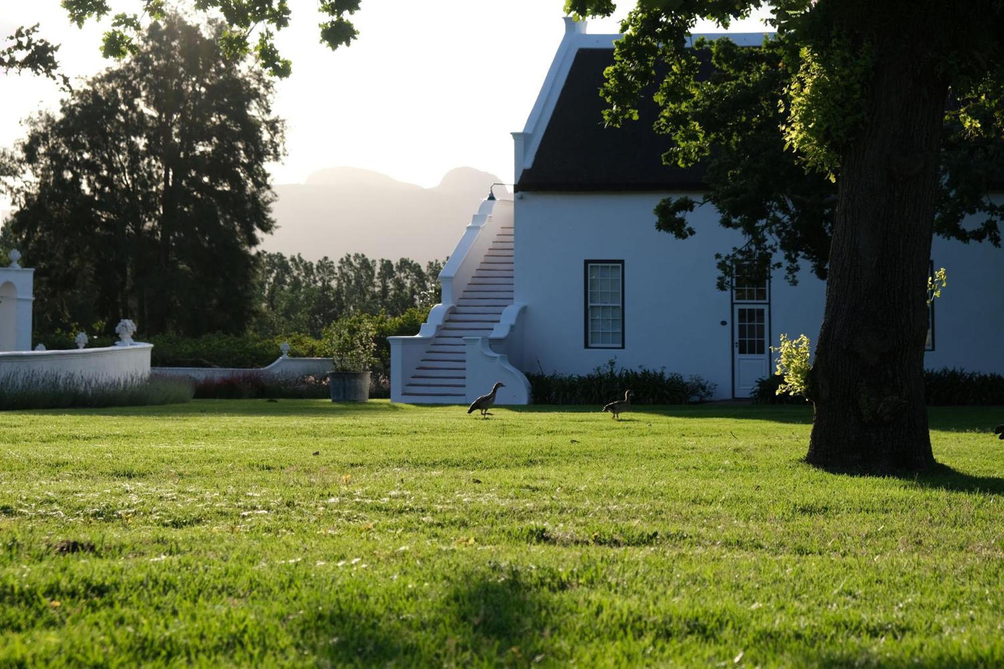Adara Palmiet Valley Luxurious Boutique Farm Hotel Paarl Exteriér fotografie